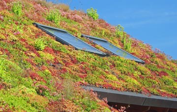 Longdon Heath living roof systems